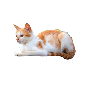 A Ginger And White Cat Lying On A Ledge Outdoors, Surrounded By Greenery. 13099 - Cat PNG image with transparent background
